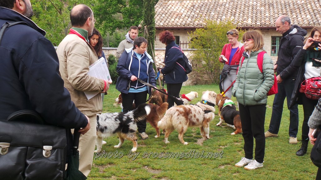 Edizione  amici a quattro zampe al Parco Rodari di Capodrise